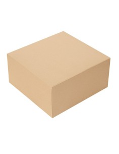 ▷ Caixa para Bolo 24x24x12 cm – Envio Gratuito 24h ✨