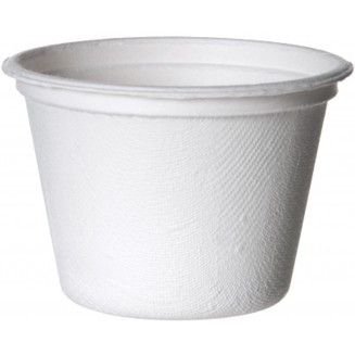 SALSERO CANA-DE-AÇÚCAR 120ml/4 OZ (100 Unid.)