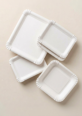 Bandejas biodegradables