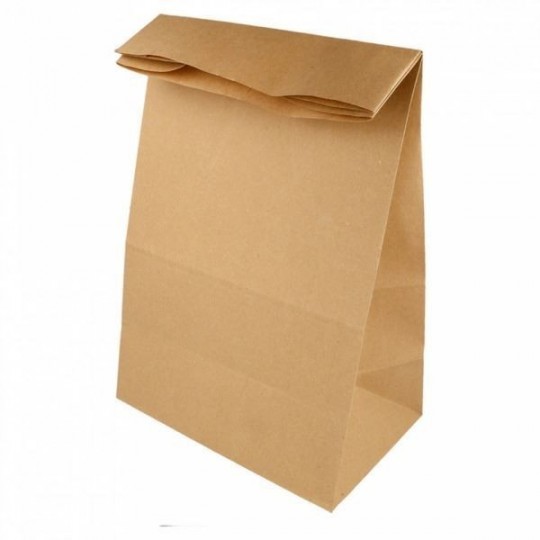Bolsas kraft sin asas