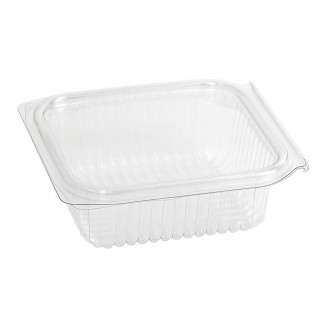 Envases plásticos con tapa bisagra